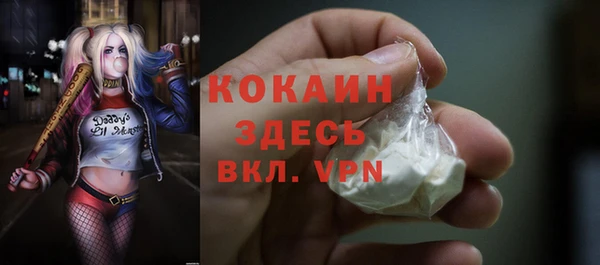 PSILOCYBIN Волосово