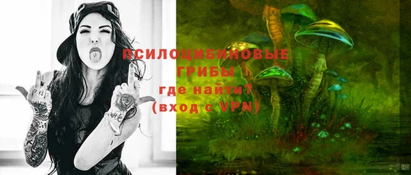 PSILOCYBIN Волосово